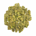 Blue Lobster - Popcorn (1/4 LB - 2 LB) - Image 2