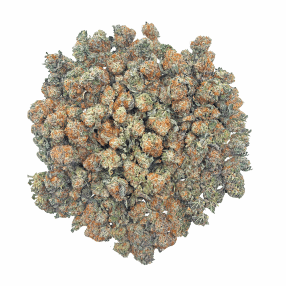 Frosted MAC - Popcorn - Image 2