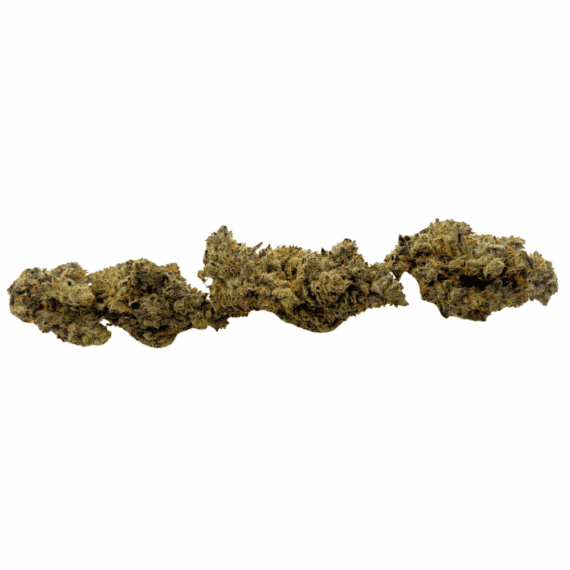 Blue Lobster (Crop #5) - Craft Cannabis - Image 2