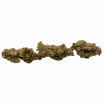 Blue Lobster (Crop #5) - Craft Cannabis (1/4 LB - 1 LB) - Image 2
