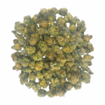 King Tut (Crop #3) - Popcorn (1/4 LB - 2 LB) - Image 2