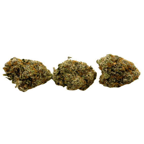 Super Lemon Haze - Craft Cannabis (1/4 LB - 1 LB) - Image 2