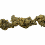 Blue Lobster (Crop #5) - Craft Cannabis - Image 3
