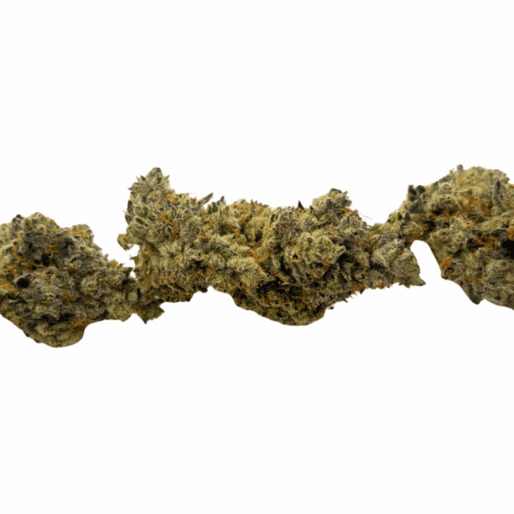 Blue Lobster (Crop #5) - Craft Cannabis - Image 3