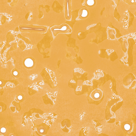 Hindu Kush - Shatter - Image 4