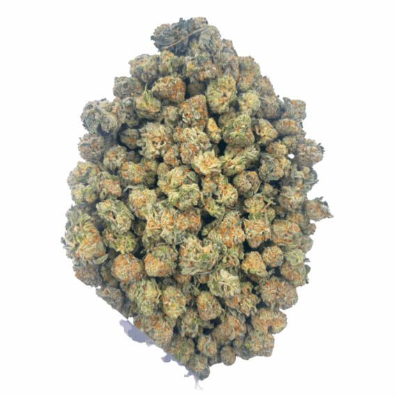 King Tut (Crop #3) - Popcorn - Image 3