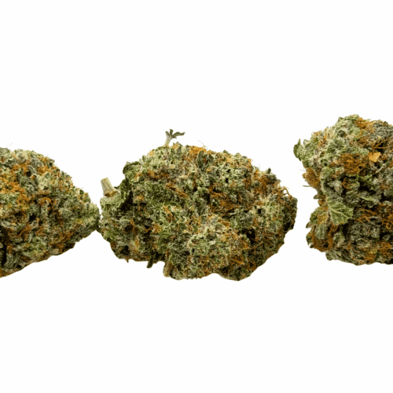 Super Lemon Haze - Craft Cannabis (1/4 LB - 1 LB) - Image 3