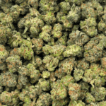 Island Pink - Popcorn (1/4 LB - 2 LB) - Image 4