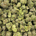 Master Kush - Popcorn - Image 4