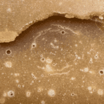 Death Bubba - Live Resin (Indica) (1/4 LB - 1 LB) - Image 5