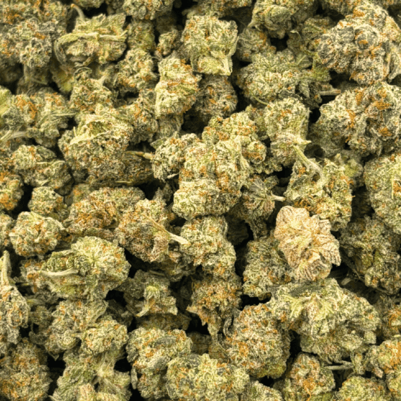 Strawberry Gary Peyton - Popcorn - Image 4