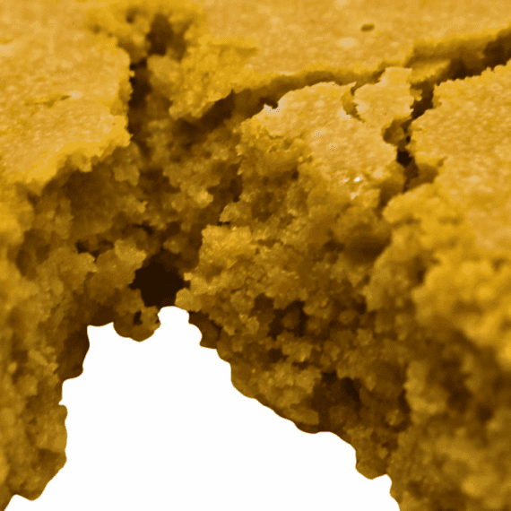 Biscotti - Budder (Indica) - Image 5