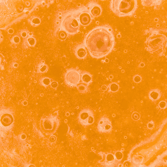 Nebula - Live Resin (Hybrid) (1/4 LB - 1 LB) - Image 5