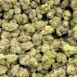 Blue Lobster - Popcorn (1/4 LB - 2 LB) - Image 4