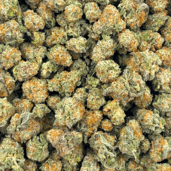 Frosted MAC - Popcorn - Image 4