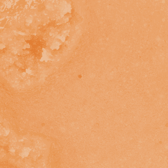 Tangerine Dream - Live Resin (Hybrid) - Image 2