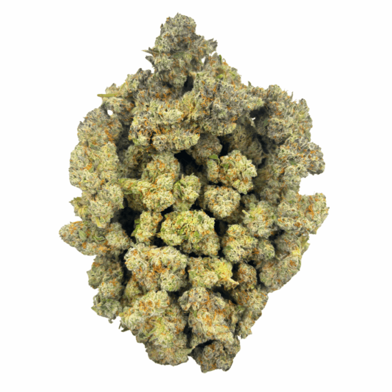 Blue Lobster (Crop #5) - Craft Cannabis - Image 4