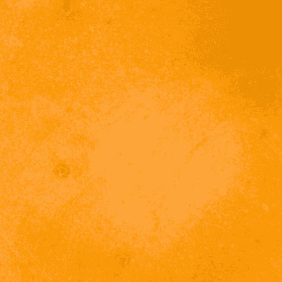 Congolese - Live Resin (Indica) - Image 5