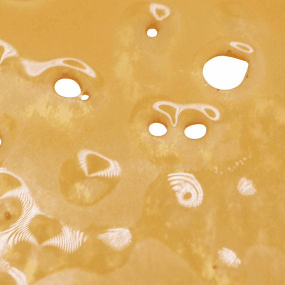 Hindu Kush - Shatter - Image 5