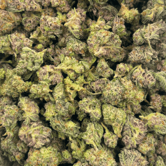 Purple Haze - Popcorn - Image 5