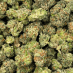 Island Pink - Popcorn - Image 5