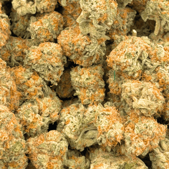 Fruitloop Haze - AAA (1/4 LB - 2 LB) - Image 5