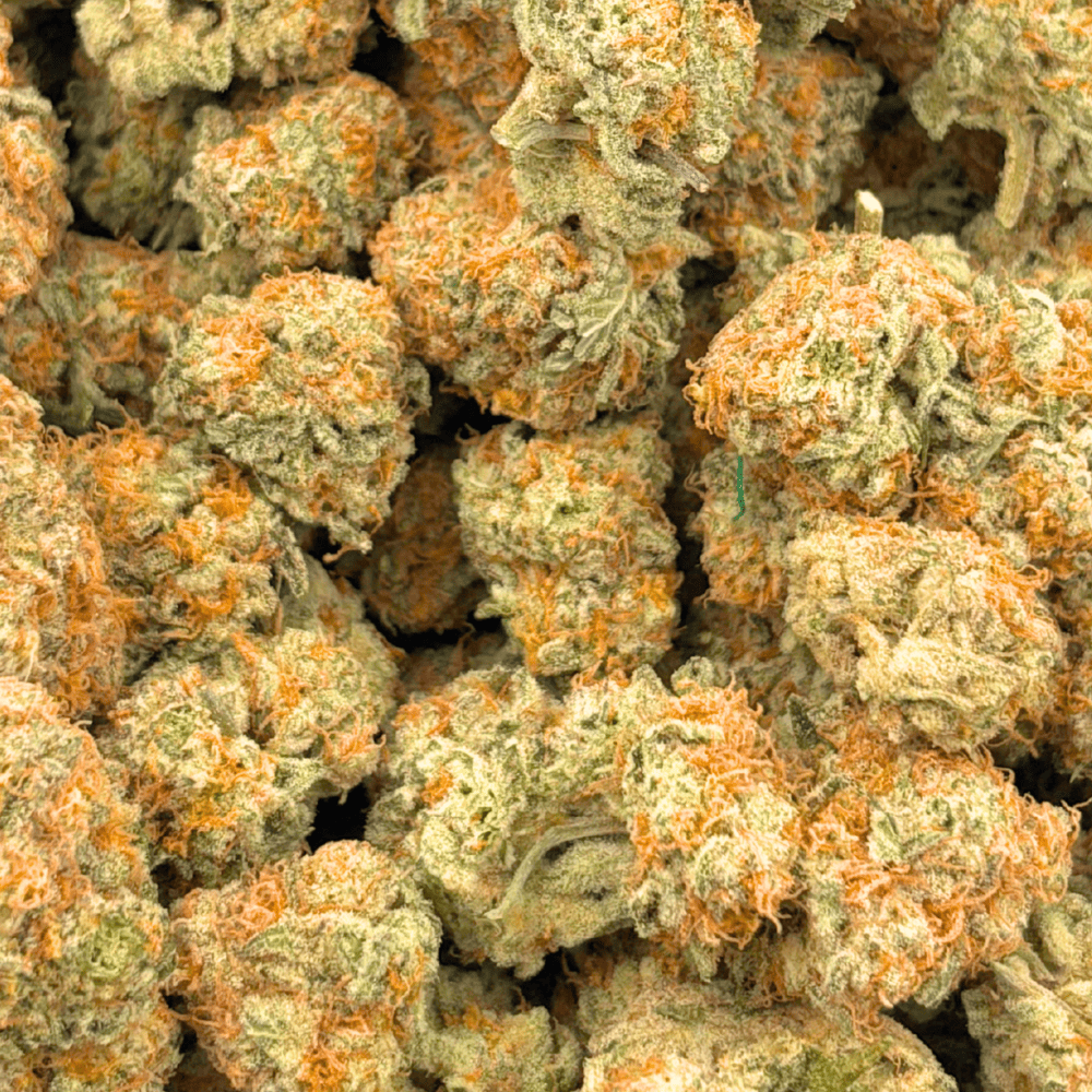 5 Fruitloop Haze - AAA (1/4 LB - 2 LB) - Image 5
