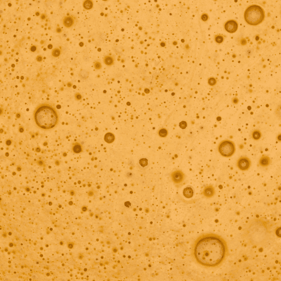 Mango Dream - Budder (Hybrid) - Image 2