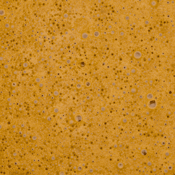 Chocolope - Budder (Sativa) - Image 2
