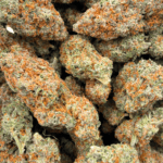 Girl Scout Cookies - Craft Cannabis (1/4 LB - 1 LB) - Image 5