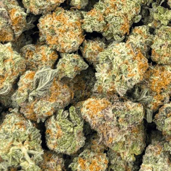 Frosted MAC - Popcorn - Image 5