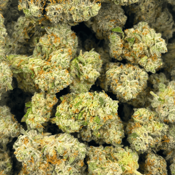 Blue Lobster (Crop #5) - Craft Cannabis - Image 5