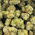 Blue Lobster (Crop #5) - Craft Cannabis (1/4 LB - 1 LB) - Image 5