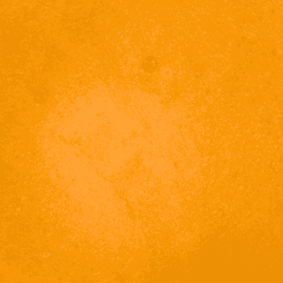 Congolese - Live Resin (Indica) - Image 2