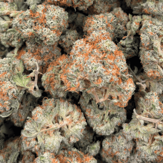 Lucky Charms - AAAA (1/4 LB - 2 LB) - Image 5