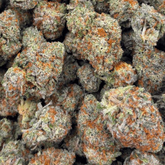 Super Lemon Haze - Craft Cannabis (1/4 LB - 1 LB) - Image 5
