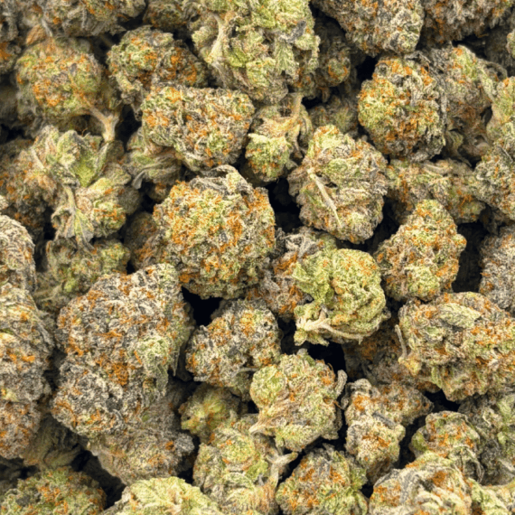 Rocket Fuel (Crop #2) - AAAA - Image 5