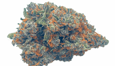 White Truffle - Craft Cannabis (1/4 LB - 1 LB)