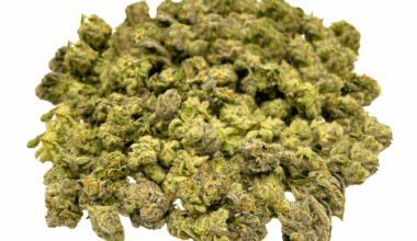 Rocket Fuel - Popcorn (1/4 LB - 2 LB)