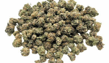 Gelato Cake - Popcorn (1/4 LB - 2 LB)