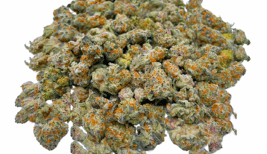 Scooby Snacks - Popcorn (1/4 LB - 2 LB)