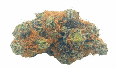 Frosted MAC (Crop #2) - AAAA