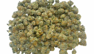 Frosted MAC (Crop #2) - Popcorn