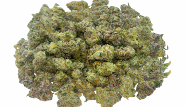 Frumpz (Crop #6) - Popcorn (1/4 LB - 2 LB)