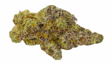 Frumpz (Crop #6) - Craft Cannabis (1/4 LB - 1 LB)