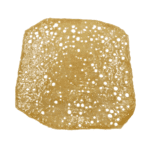 Coconut Cream - Shatter