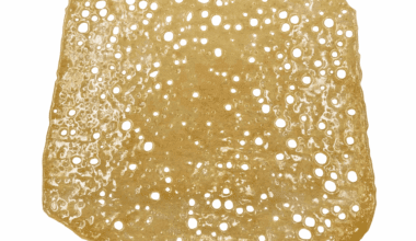 Coconut Cream - Shatter