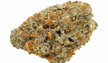 MAC Doughnuts - Craft Cannabis (1/4 LB - 1 LB)