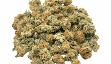 Ice Cream Cake - Popcorn