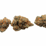 White Truffle - Craft Cannabis (1/4 LB - 1 LB) - Image 2